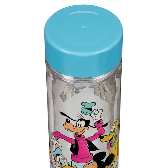 Disney Water Bottle 100 Anniversary purchase at Anaheim Park Mickey And Friends - Picture 5 of 9